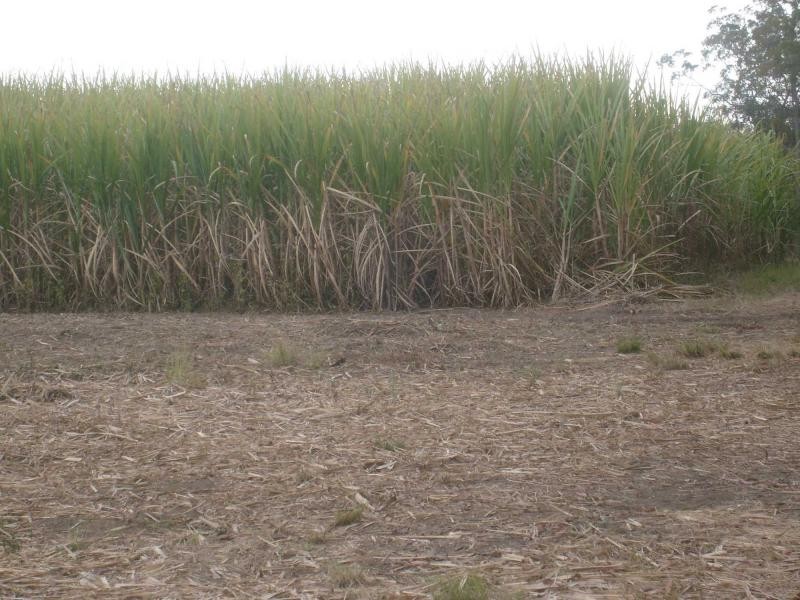 North Gregory QLD 4660