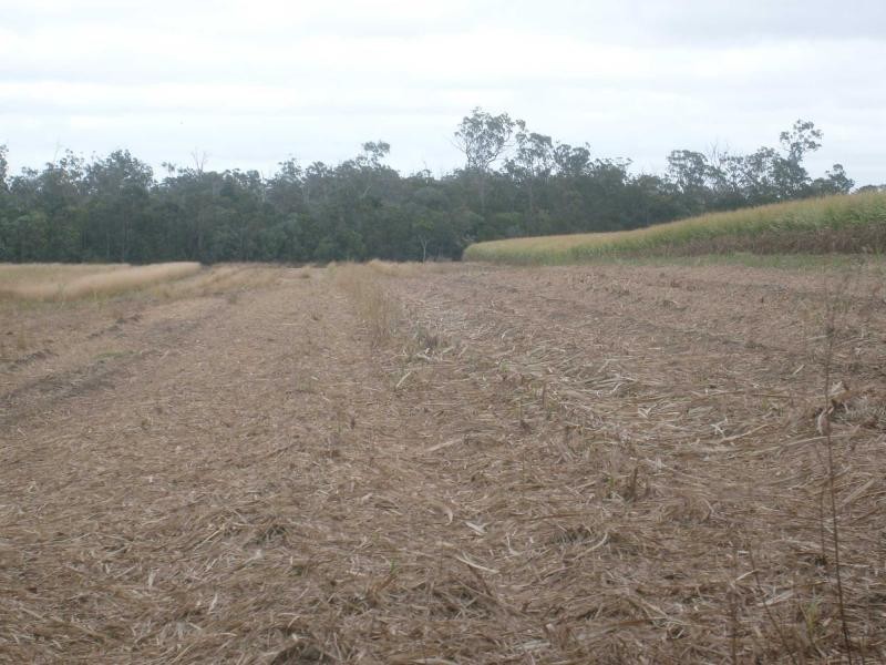 North Gregory QLD 4660