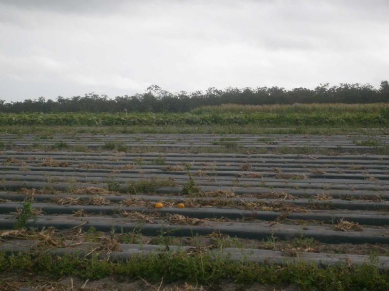 North Gregory QLD 4660