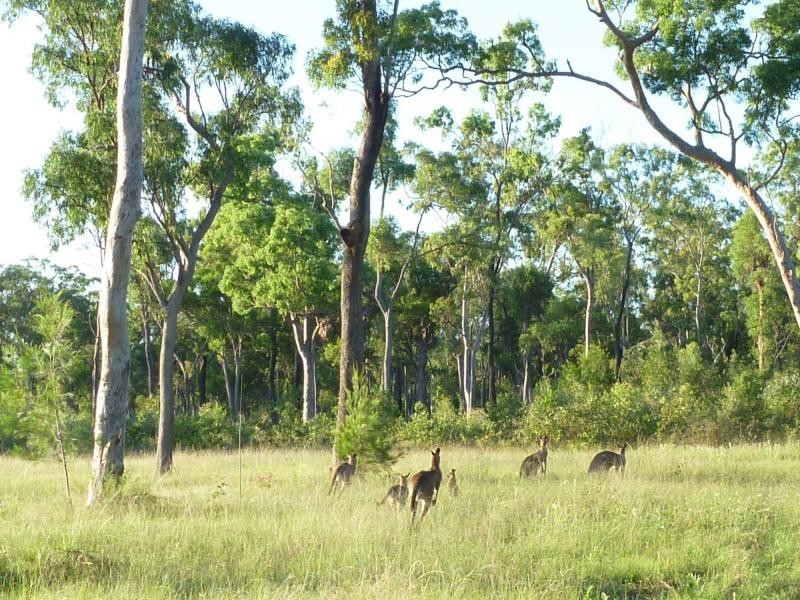 L25  42 One World Drive, Childers QLD 4660