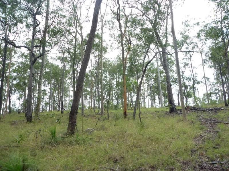 263 Webbs Road, Redridge QLD 4660