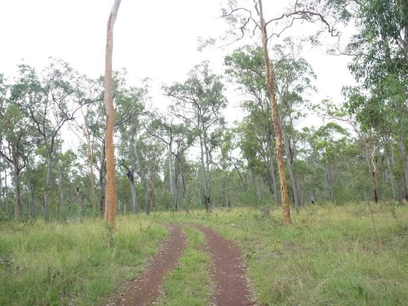 263 Webbs Road, Redridge QLD 4660