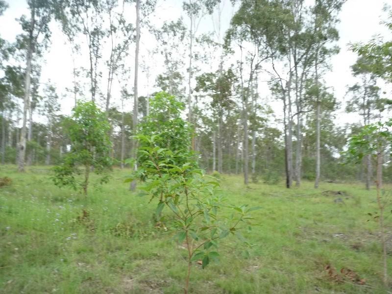 263 Webbs Road, Redridge QLD 4660