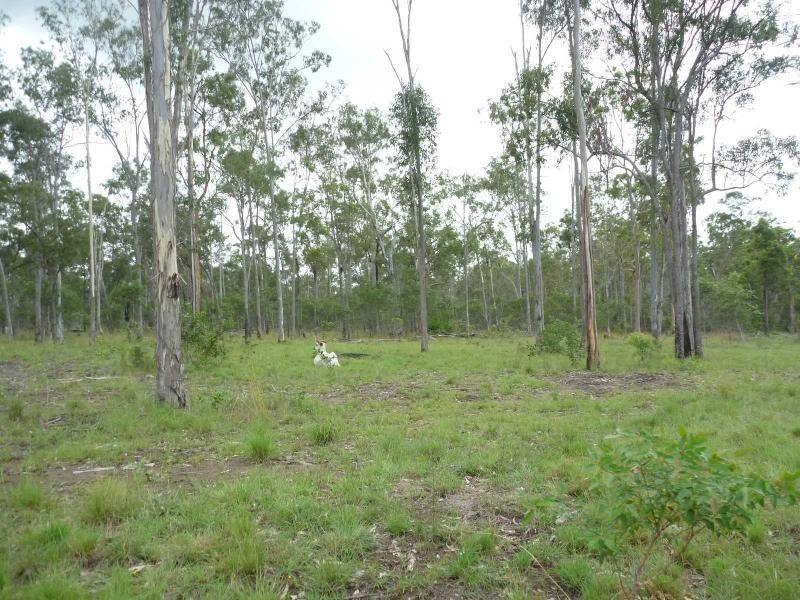 263 Webbs Road, Redridge QLD 4660