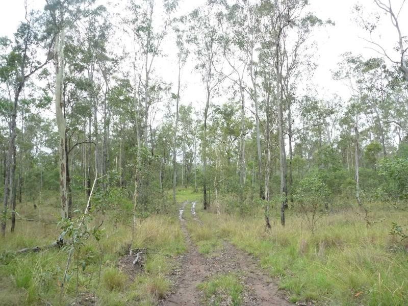 263 Webbs Road, Redridge QLD 4660