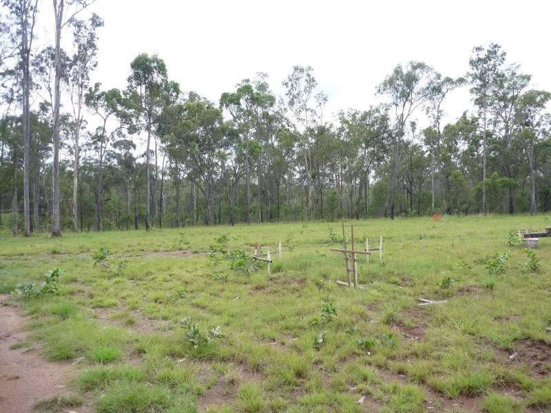 263 Webbs Road, Redridge QLD 4660