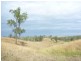 284 Railway Road, Booyal QLD 4671