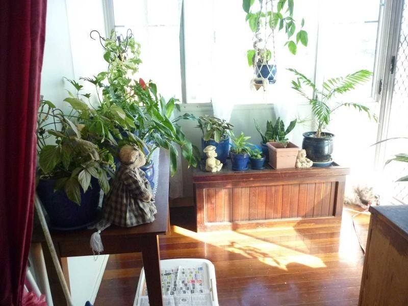 3 Well Line Street, Childers QLD 4660