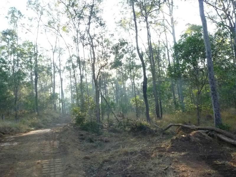 Apple Tree Creek QLD 4660