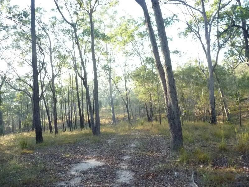 Apple Tree Creek QLD 4660