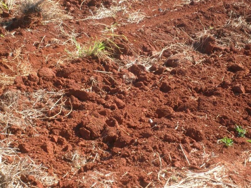 37 to 69 Gorries Road, Childers QLD 4660