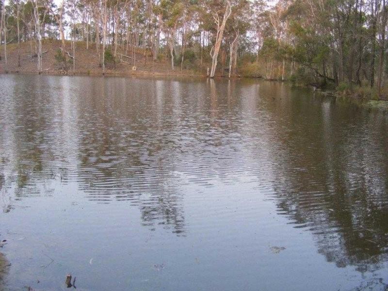 L103 Clonye Road, Drinan QLD 4671