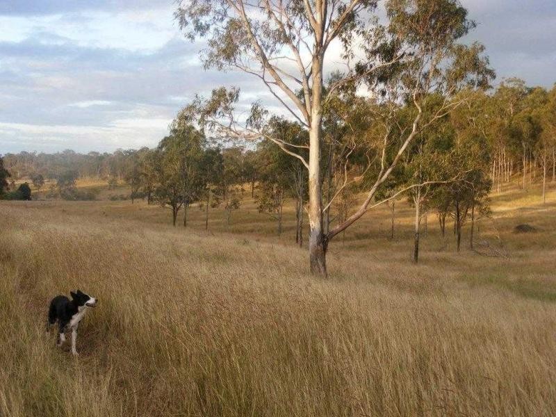 L103 Clonye Road, Drinan QLD 4671