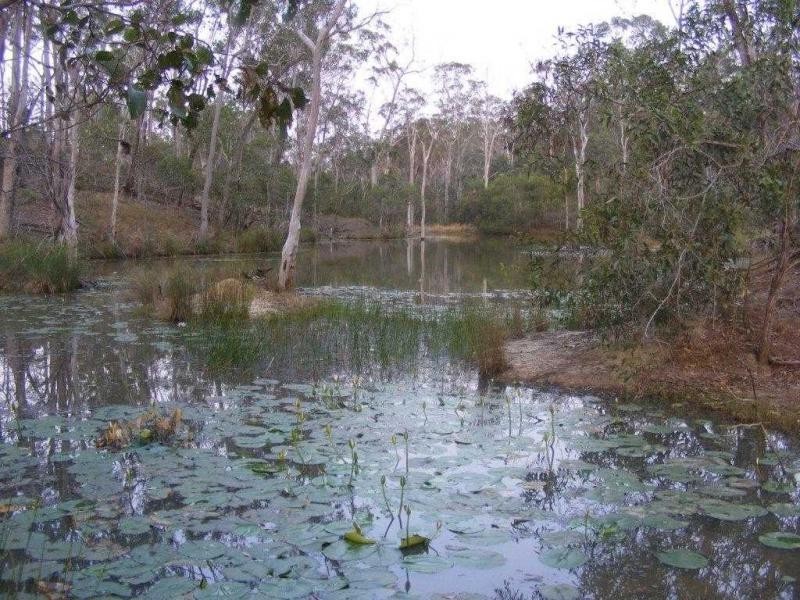L103 Clonye Road, Drinan QLD 4671