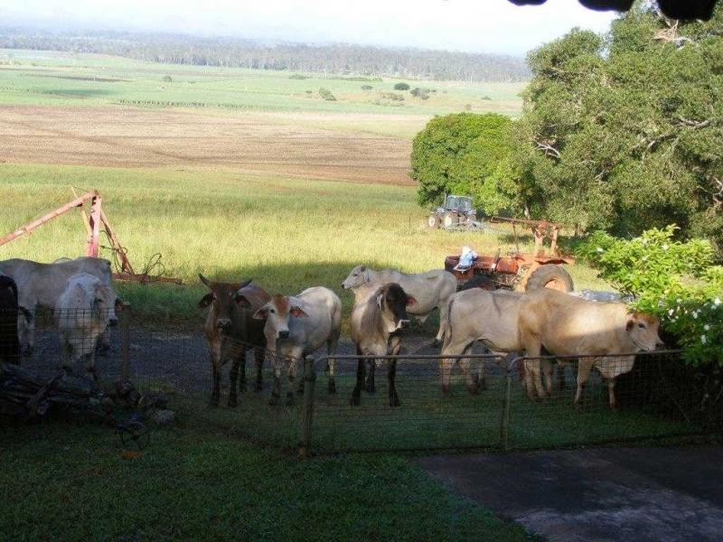 L103 Clonye Road, Drinan QLD 4671