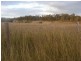 L103 Clonye Road, Drinan QLD 4671