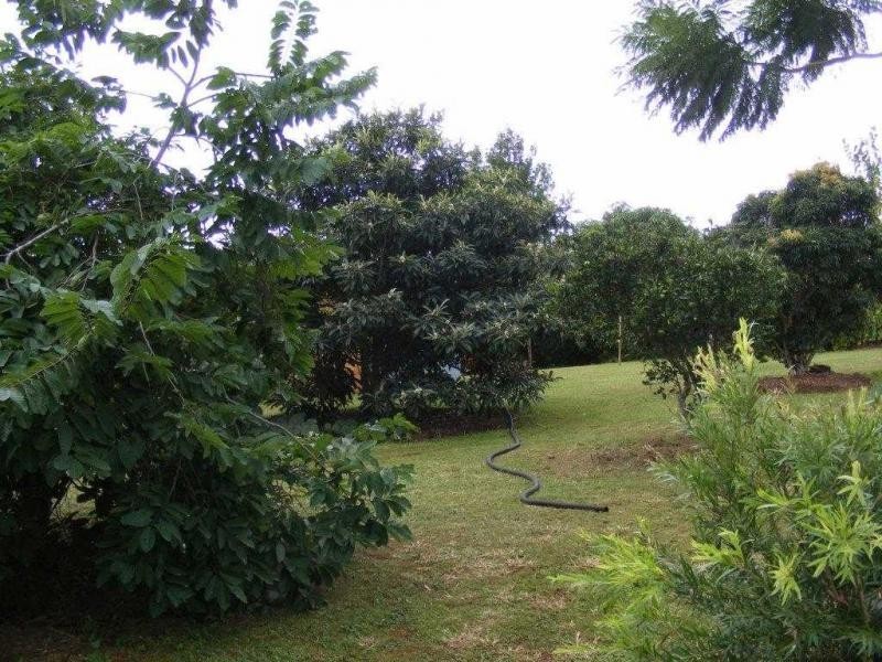 Drinan QLD 4671
