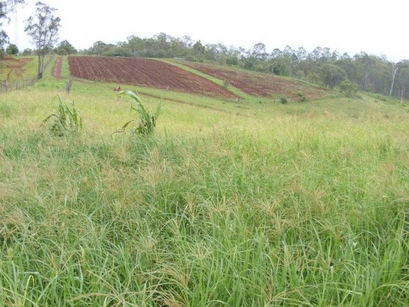 Drinan QLD 4671