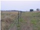 Drinan QLD 4671
