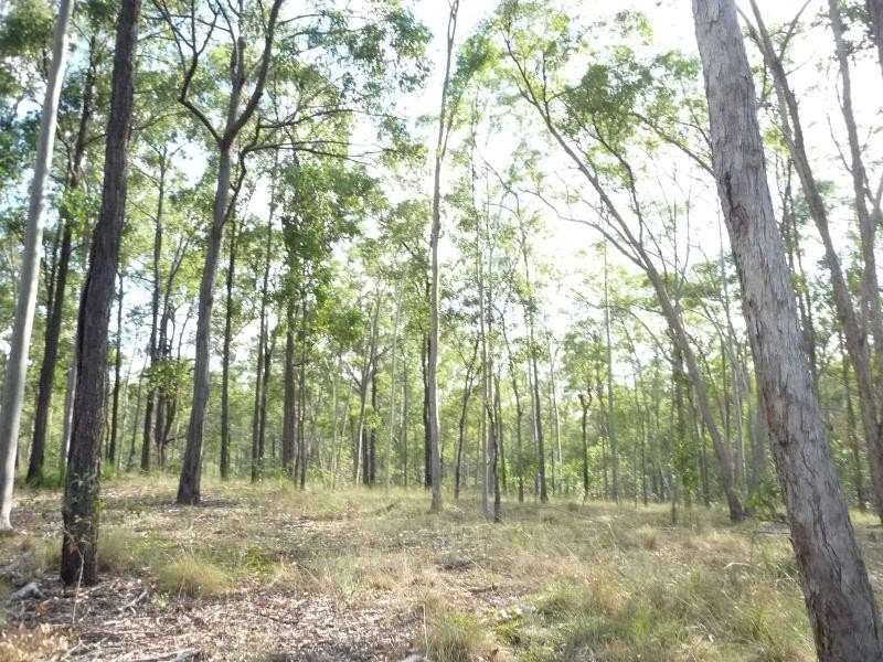 Apple Tree Creek QLD 4660