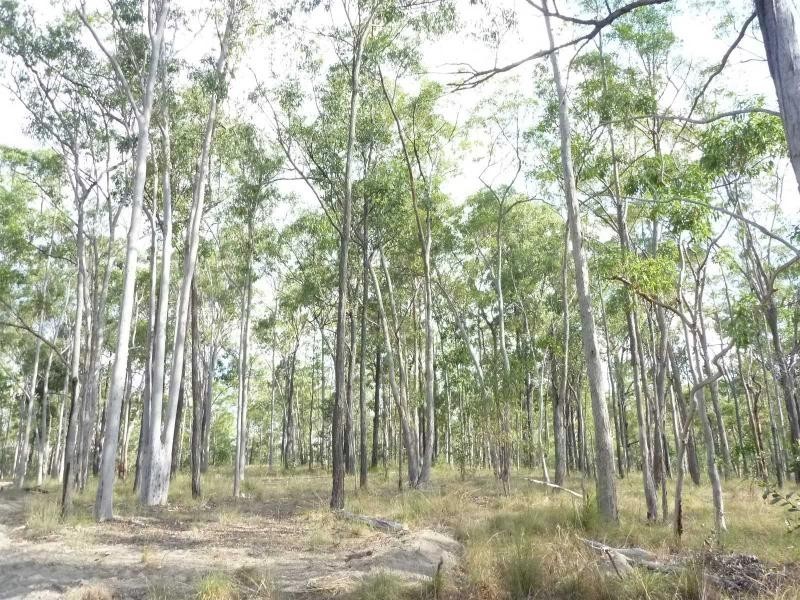 Apple Tree Creek QLD 4660