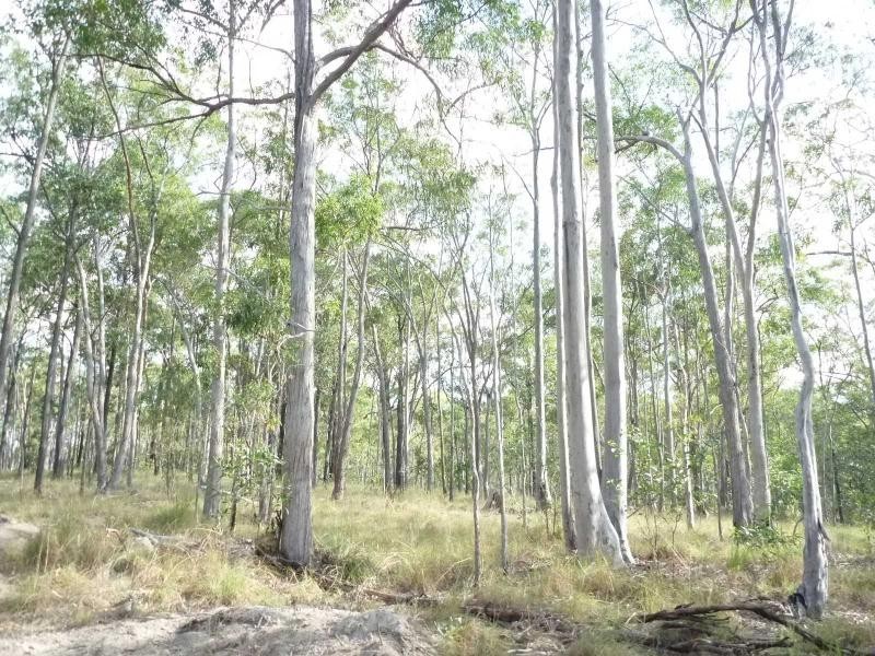 Apple Tree Creek QLD 4660