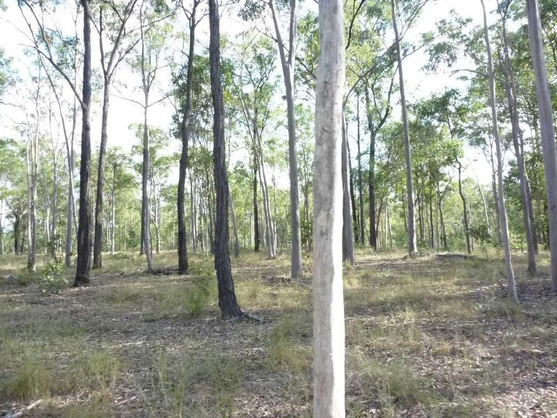 Apple Tree Creek QLD 4660