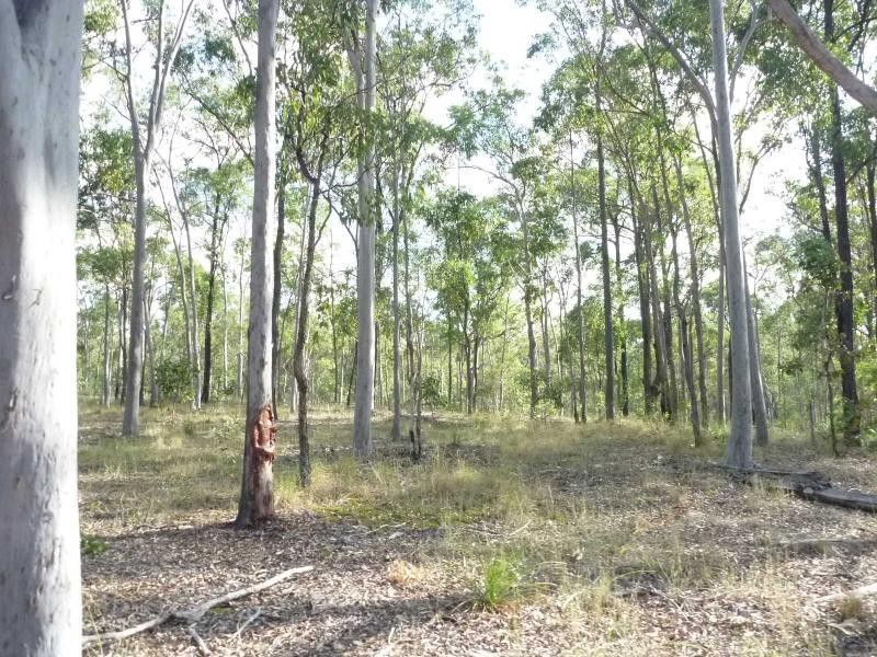 Apple Tree Creek QLD 4660