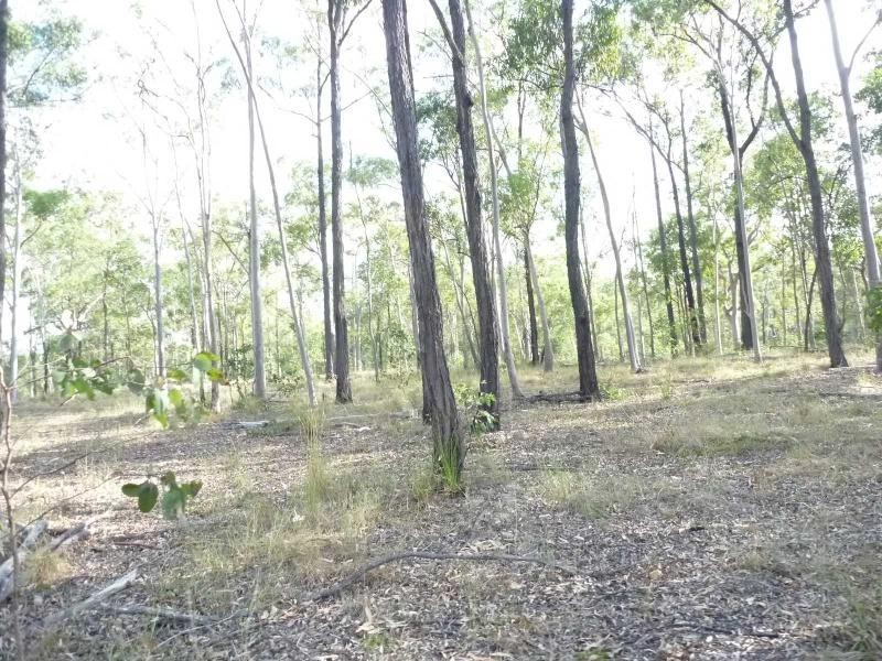 Apple Tree Creek QLD 4660