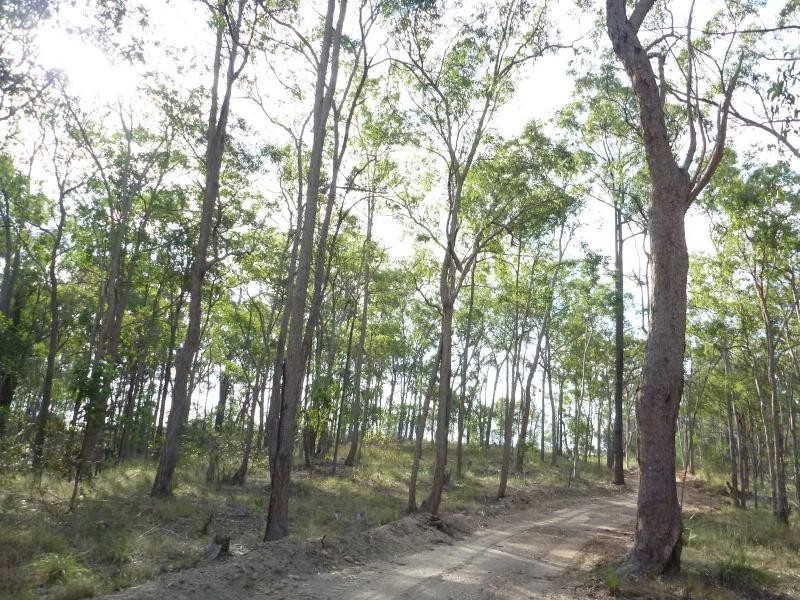Apple Tree Creek QLD 4660