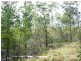 Apple Tree Creek QLD 4660