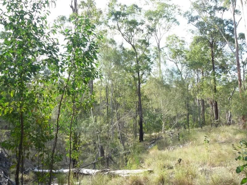 Apple Tree Creek QLD 4660