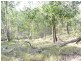 Apple Tree Creek QLD 4660