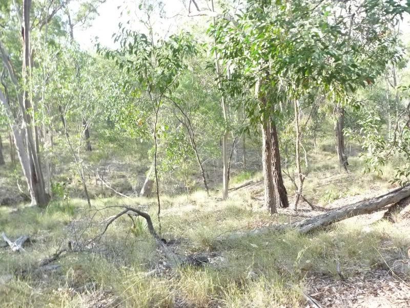 Apple Tree Creek QLD 4660