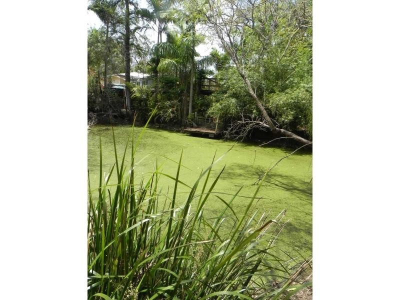 18 Andersen Street, Apple Tree Creek QLD 4660