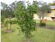 Apple Tree Creek QLD 4660