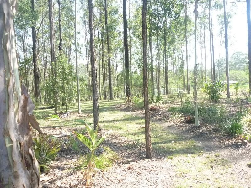 223 Cooks Road, South Isis QLD 4660