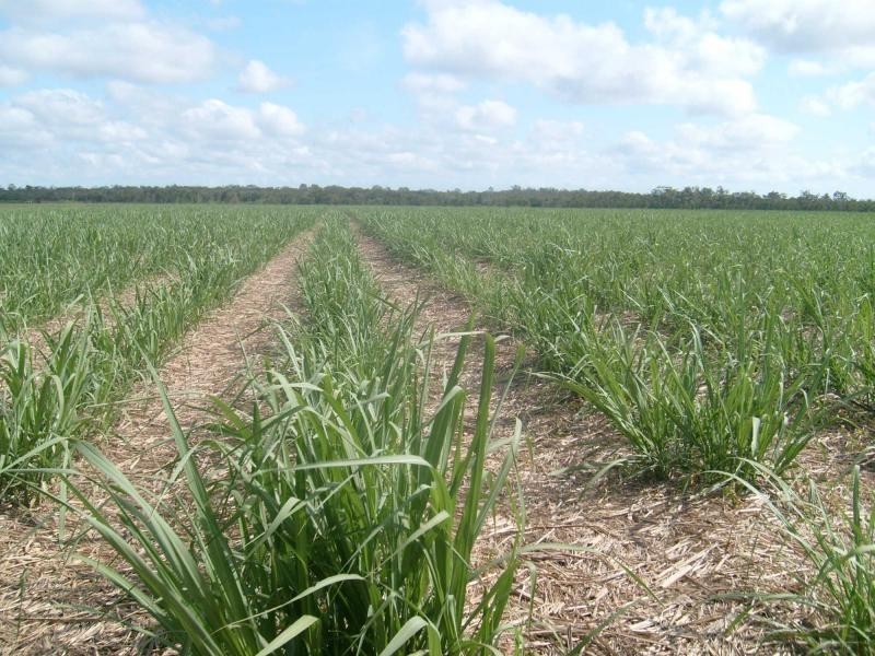 North Gregory QLD 4660