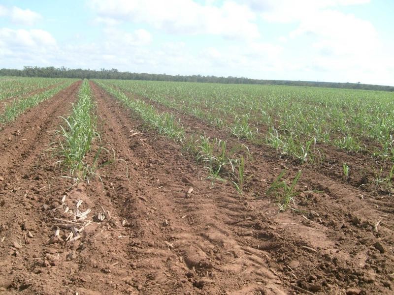 North Gregory QLD 4660