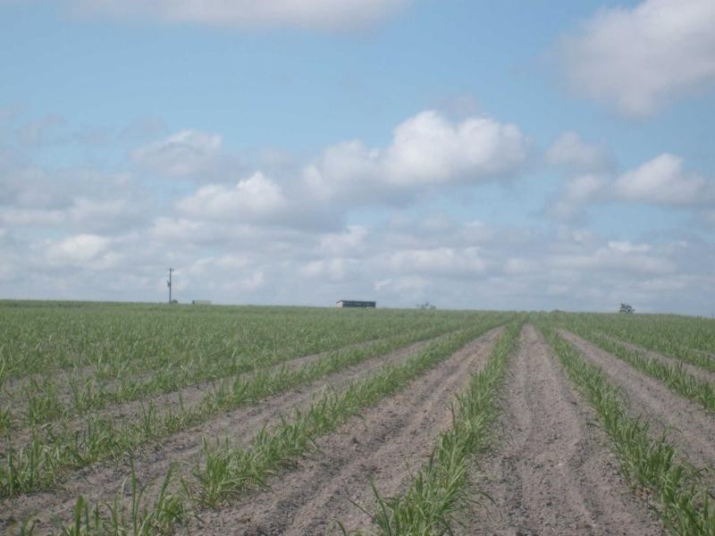 North Gregory QLD 4660