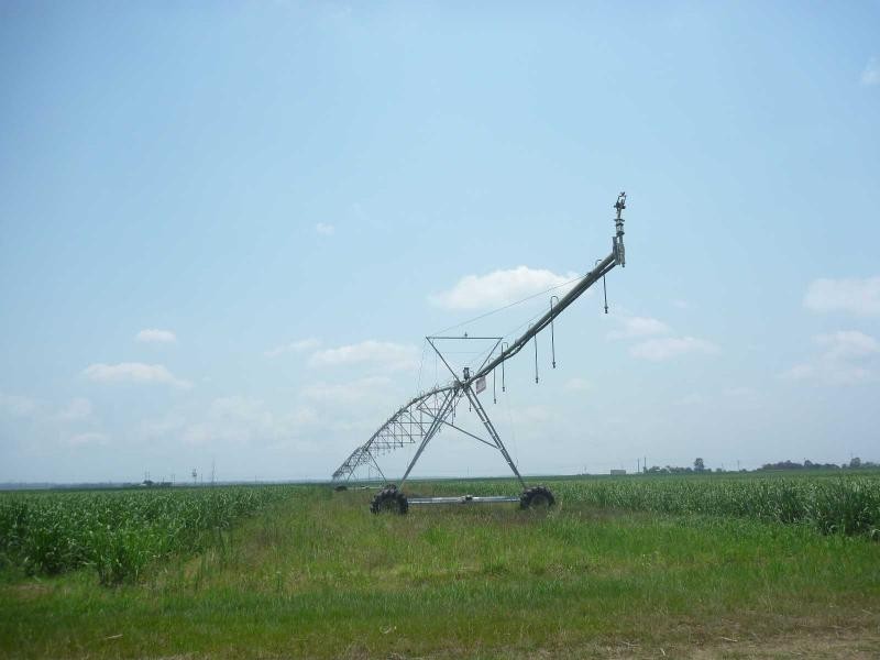 Farnsfield QLD 4660