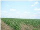 Farnsfield QLD 4660