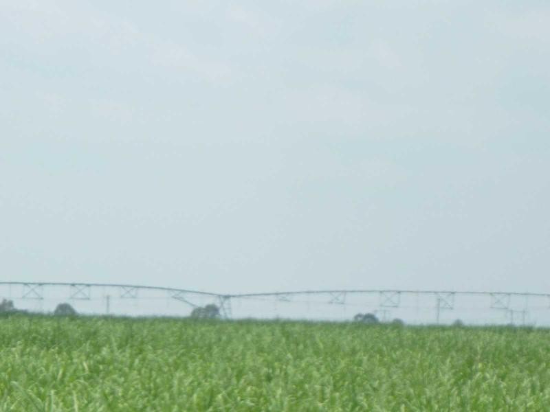 Farnsfield QLD 4660