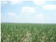 Farnsfield QLD 4660