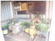 Farnsfield QLD 4660