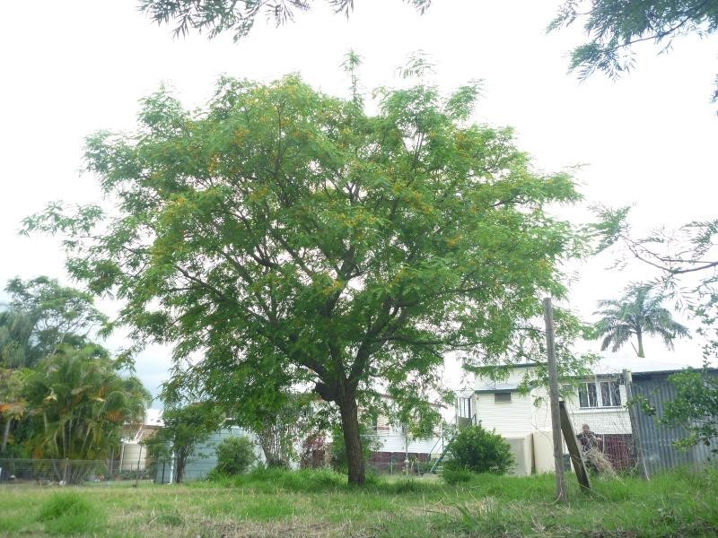 14 Walsh Street, Biggenden QLD 4621