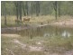 Eureka QLD 4660