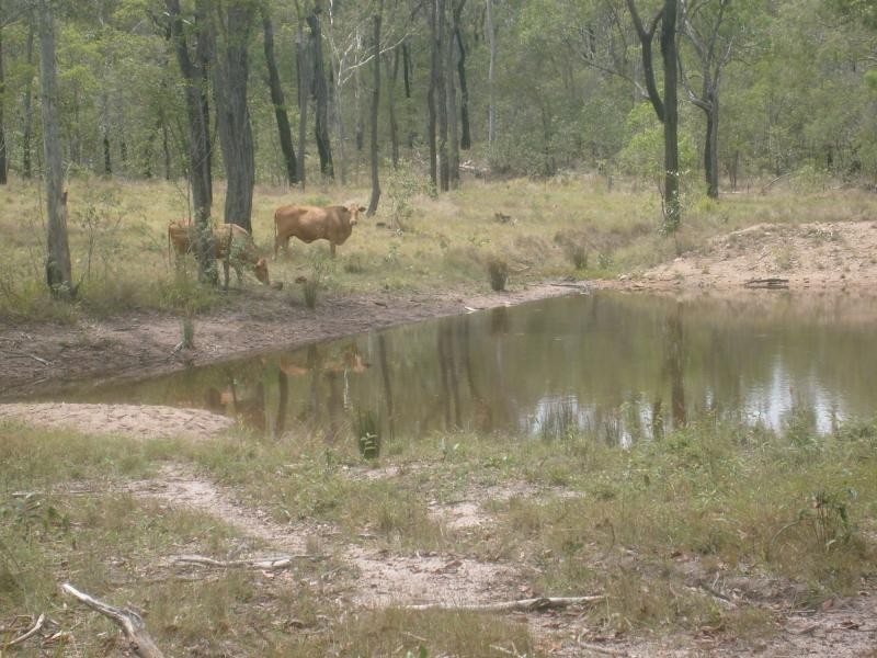 Eureka QLD 4660