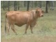 Eureka QLD 4660
