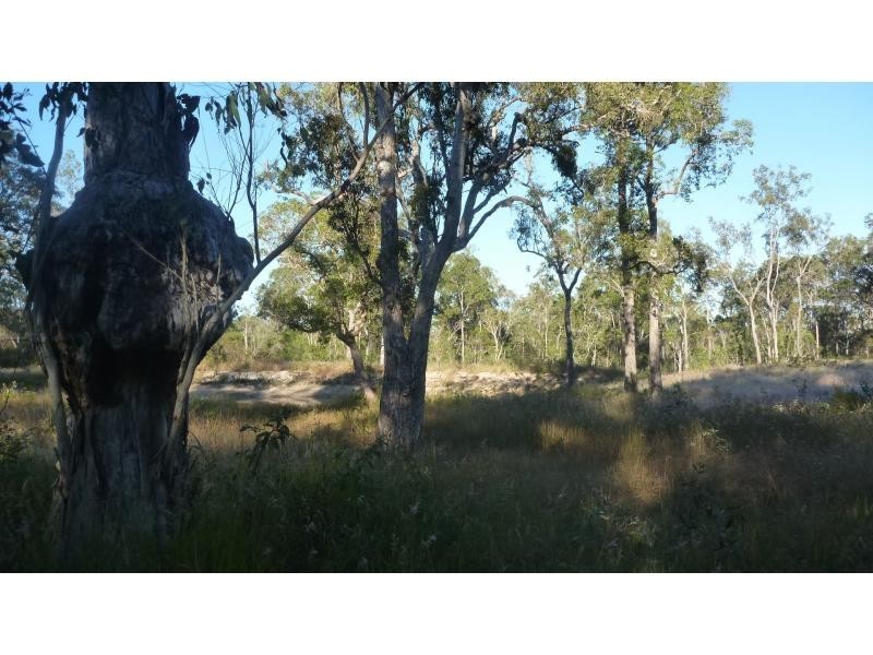 206 BERRIES Road, Eureka QLD 4660